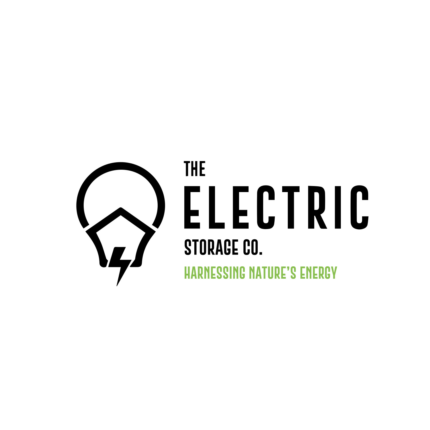 The Electric Storage Company